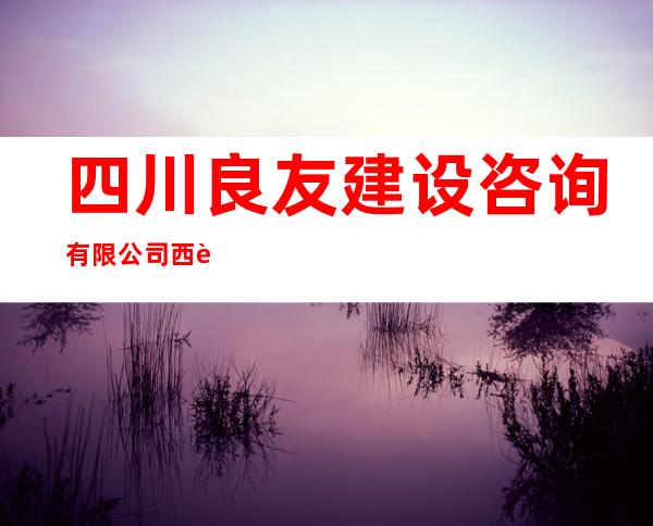 四川良友建设咨询有限公司西藏分公司