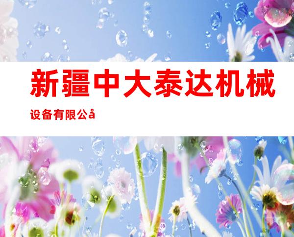 新疆中大泰达机械设备有限公司